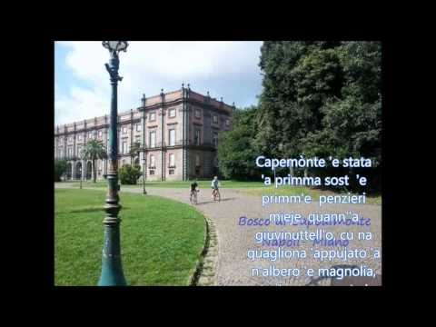 PoesiaNapoletana. Napule quanno me si' mancata versi di Mario Ferraro. man.Nap.Suonne sunnate