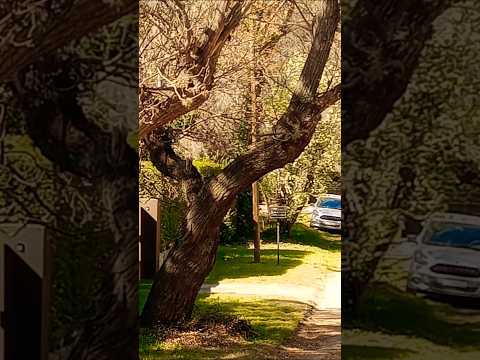 Villa Giardino, provincia de Córdoba, Argentina.#villagiardino