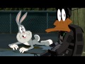 Know Your Role Looney Tunes Clip