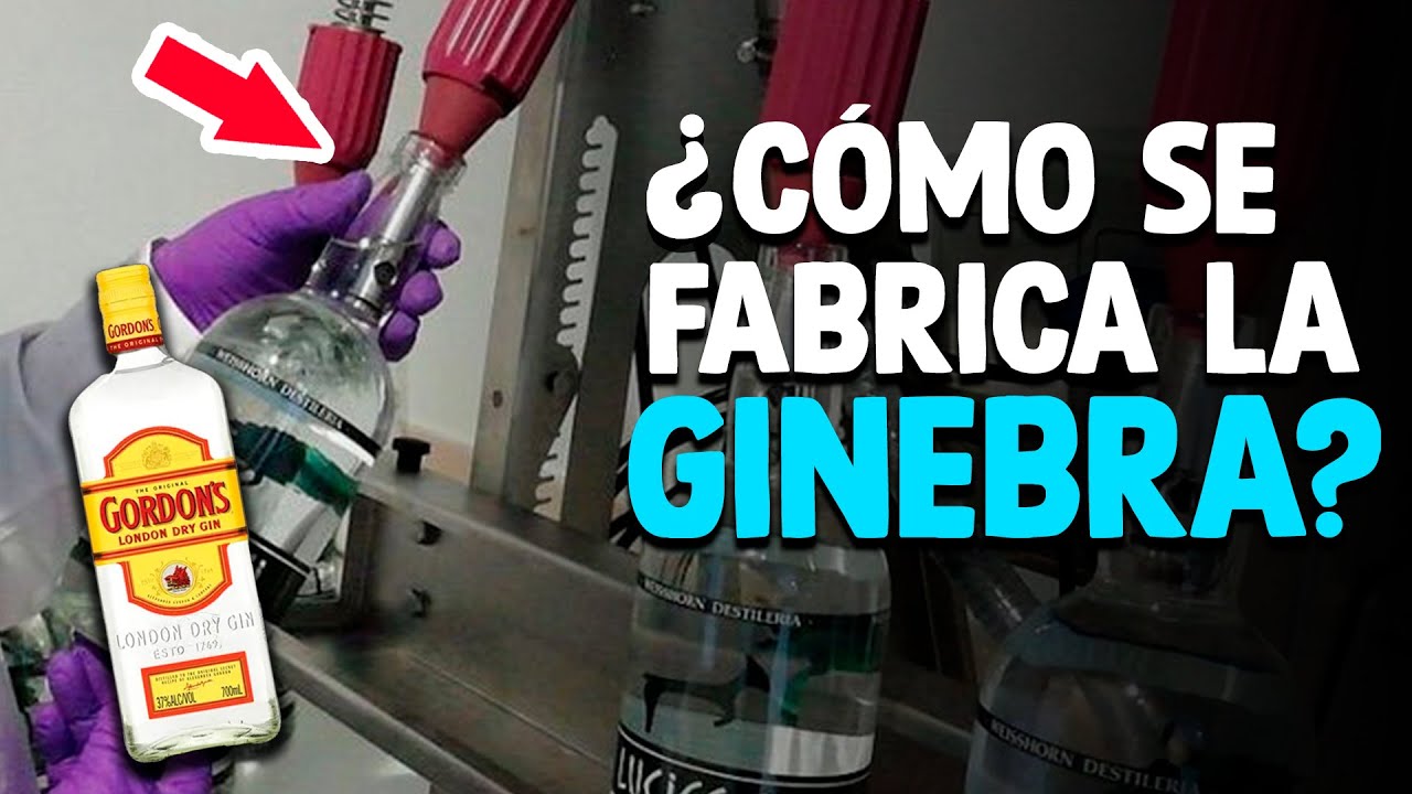 Como Se Fabrica La GINEBRA [Proceso En Fábrica]