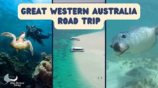 WESTERN AUSTRALIA Road Trip! Pink Lake, Ningaloo Reef, Coral Bay, Sharks, Dolphins & Seals