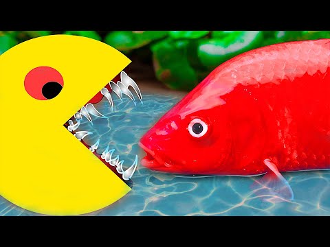 Stop Motion ASMR Mud Satisfying Survival Battle Colorful Koi Fish Dj Party With Catfish, Eel | Coco