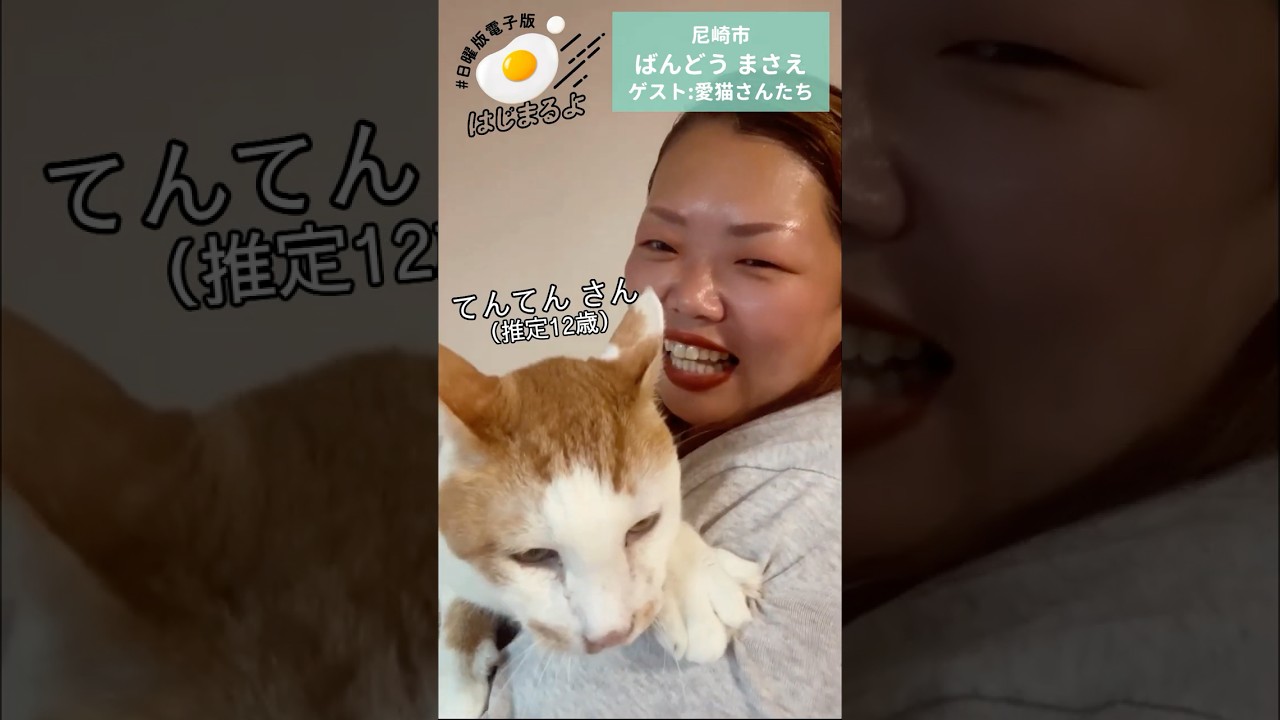 #日曜版電子版はじまるよ　尼崎市　ばんどうまさえ　ゲスト：愛猫さんたち