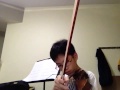 Alan Walker- Fade ( Violin Cover ) 