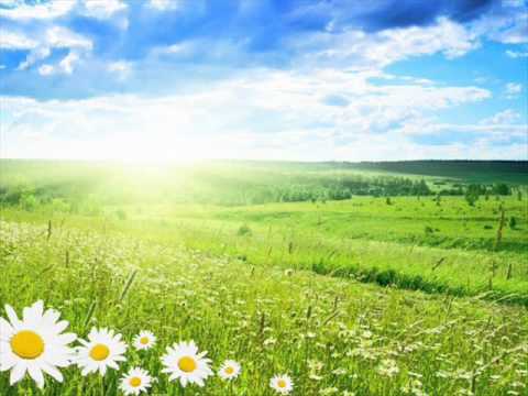 Музичне відео