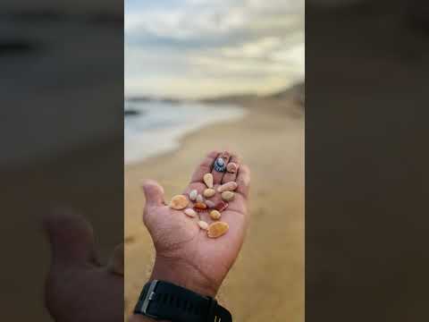 🐚✨#like #foryou #viral #shorts #share #beach #sea #nature #travel #love #world #beautiful #wow#nice