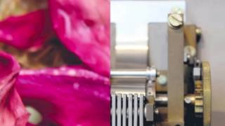 Barker &amp; Baumecker - Cipher