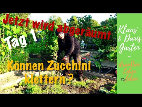 , title : 'Jetzt wird abgeräumt / Tag 1 / Können Zucchini klettern? / Beete für das nächste Jahr vorbereiten'