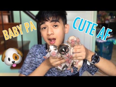 Ano ang gagawin upang ang dibdib ay hindi mawawala ang timbang na may pagbaba ng timbang Tiyan upang alisin ang isang tao