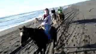 preview picture of video 'Reiten am Strand in Pichilemu, Chile'