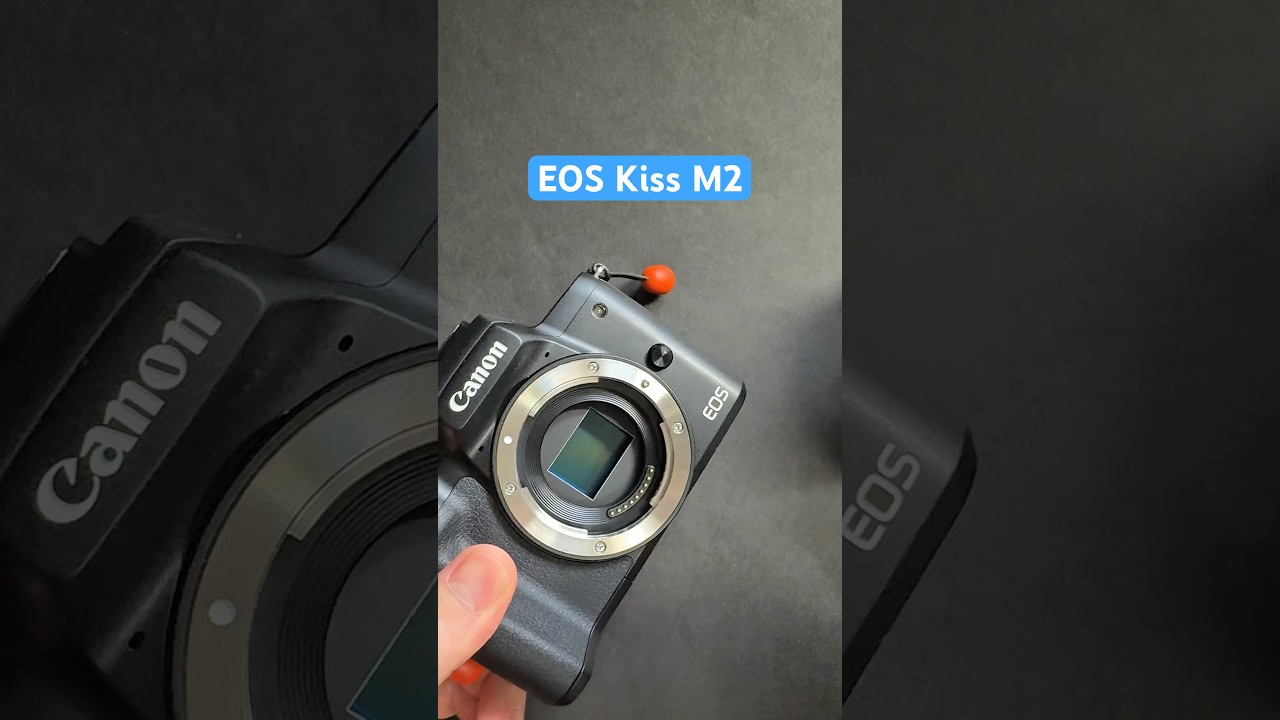 Canon EOS Kiss M2 ASMR