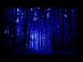 Dean Evenson y Tom Barabas  Dream Space