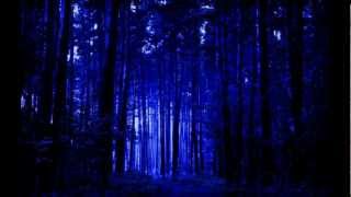 Dean Evenson y Tom Barabas  Dream Space