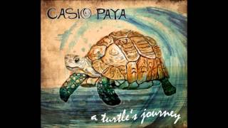 Casio Paya   Turtle's journey