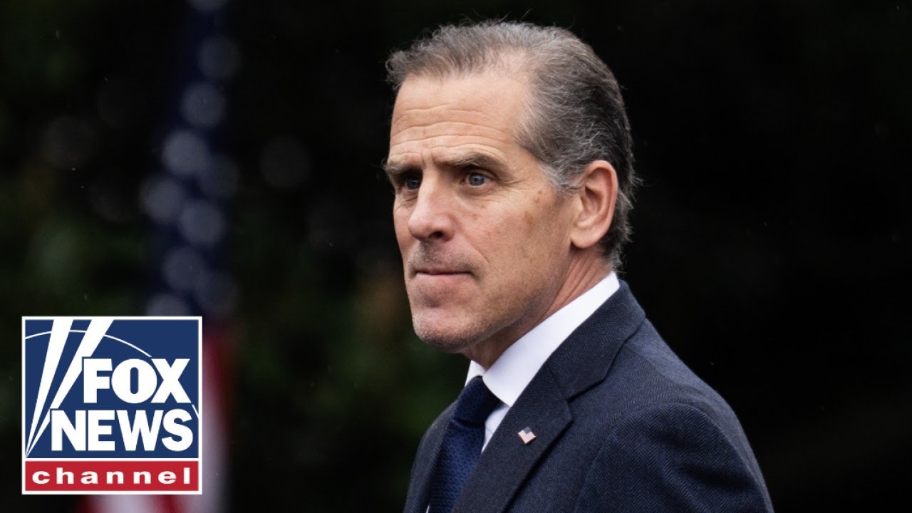 'LFG': Hunter Biden signals possible 2028 run
