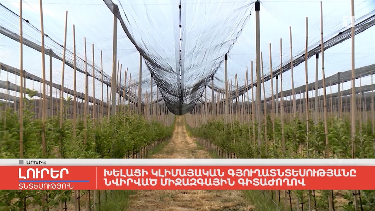 Խելացի կլիմայական գյուղատնտեսությանը նվիրված միջազգային գիտաժողով