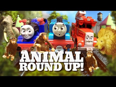 Thomas & Friends: Belle and Flynn's Amazing Animal Roundup! | TCC | Thomas & Friends - Kids TV Series, Kingdom Kids Zone - Thomas & Friends