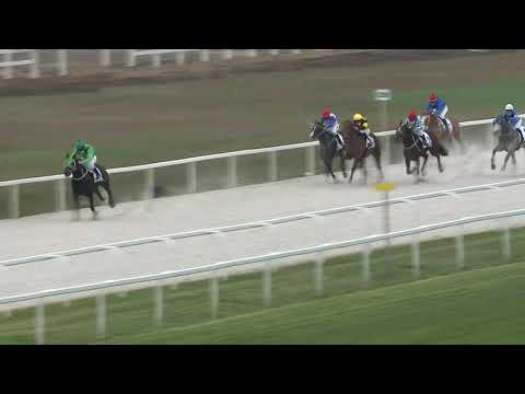 2020.11.15. 01. futam - NYERETLEN KÉTÉVESEK VERSENYE (IV.kat.) (szintetikus pálya)