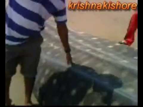 vizag beach *(tchva.kishore@gmail.com)