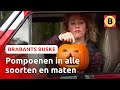 Op Burendag creatief doen met pompoenen | Brabants Buske