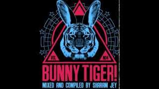 Sharam Jey & Vanilla Ace - Flash Rider (Original Mix) - BTLP004