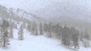 Heinz Riegler- No Colour No Sound