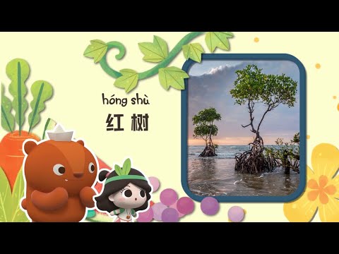 植物樹