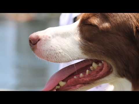 2013 IDC Eastern Regionals - Jordan Connelly Feature