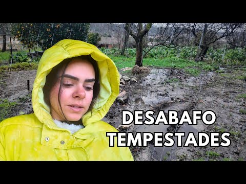 Regarding the storms in Portugal...