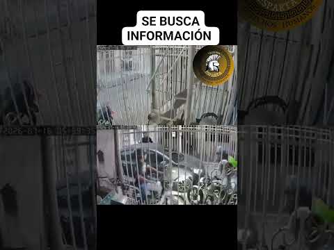 SOLEDAD ATLÁNTICO UNIDA BUSCAMOS INFORMACIÓN DE LOS LADRONES