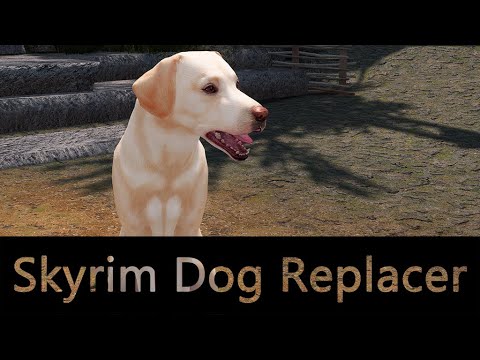 Skyrim MOD Showcase 📌 Best Dog Replacer Collection
