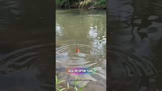 Download lagu 3 Umpan Dicoba di Spot yang Sama… Umpan ke-3 BIKIN KAGET! 🎣😱 mp3
