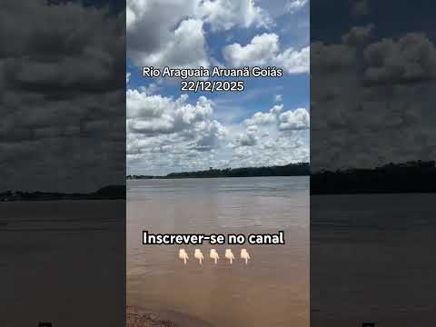 Porto da Glória Pires em Aruanã Goiás #enchente #rioaraguaia #pescaria #shorts #aruanã