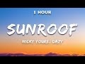 [1 Hour] Nicky Youre, dazy - Sunroof (Lyrics)