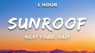 Nicky Youre dazy Sunroof...