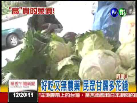 "高"麗菜比較貴! 比平地多50倍