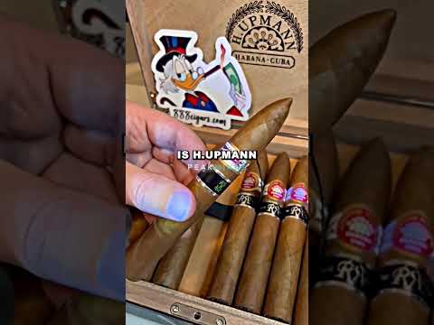 Tristan Tate gab 5000 Dollar für diese Zigarre aus