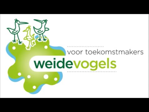 Stakingsfilmpje OBS Weidevogels