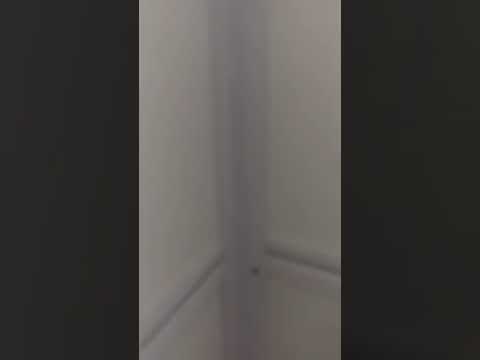 30 Jalan Bahagia, 30 Jalan Bahagia, Balestier / Toa Payoh, 3 Bedrooms, 1,338 sqft, HDB Flat For Rent, by Maggie Lee, 21992410 - PropertyGuru.com.sg