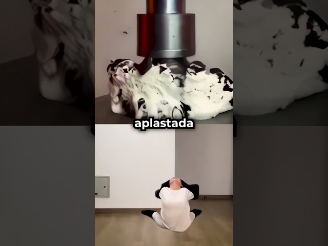 Vídeo relacionado con Mr. Wonderful - Boli borrable Bo-Bo Caganer - Si em busques bé, segur que em trobes!