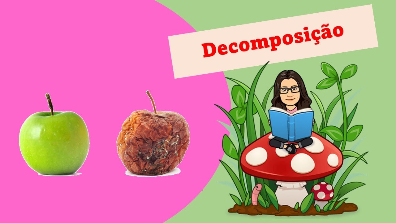 Decomposição - Ensino Fundamental 1