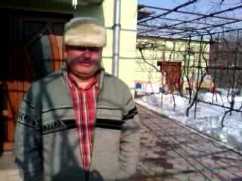 ApisPuisoru apicultura de la A-Z   video 1