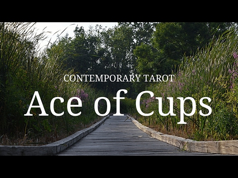 Ace of Cups: Description in 3 Minutes