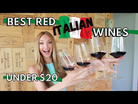 GREAT WINE UNDER $20 // 4 ITALIAN RED WINES that are AMAZING! (Ep. 3)