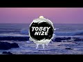 Florian Künstler - Kleiner Finger Schwur (TOBEY NIZE REMIX)