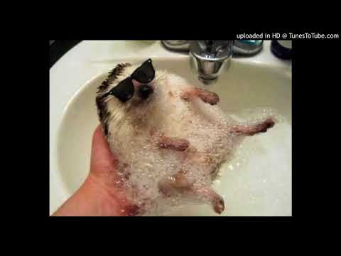 Virtual Money, Nelo, Karrak - Cubalitro de lean