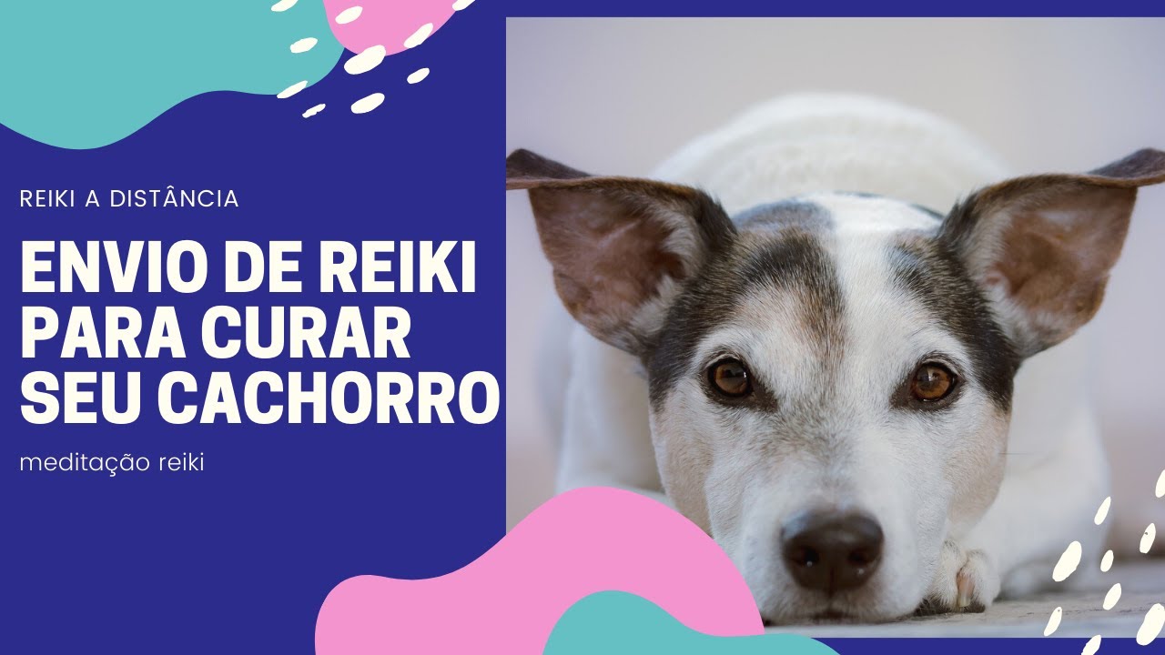 RECEIVE REIKI to heal your sick dog - [Reiki from a distance]