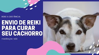 RECEBA REIKI para curar seu cachorro doente  - [Reiki a distância]