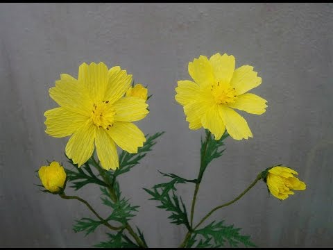 How To Make Cosmos Paper Flower From Crepe Paper #2  - Craft Tutorial
