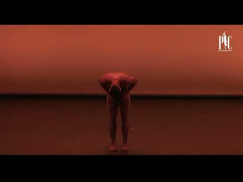 Gala des étoiles de Cuba